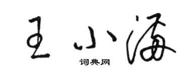 駱恆光王小滿草書個性簽名怎么寫