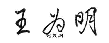 駱恆光王為明行書個性簽名怎么寫