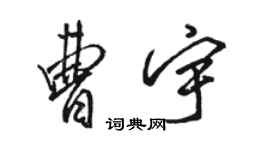 駱恆光曹宇行書個性簽名怎么寫