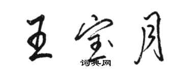 駱恆光王寶月行書個性簽名怎么寫