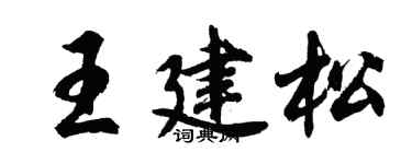 胡問遂王建松行書個性簽名怎么寫