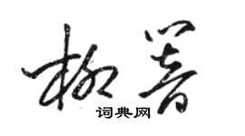 駱恆光柳響草書個性簽名怎么寫