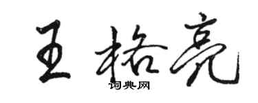 駱恆光王格亮行書個性簽名怎么寫