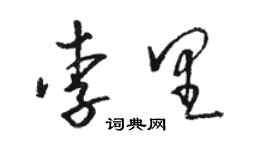 駱恆光李里草書個性簽名怎么寫