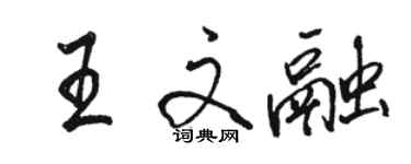 駱恆光王文融行書個性簽名怎么寫