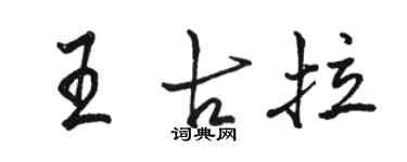 駱恆光王古拉行書個性簽名怎么寫