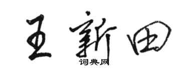 駱恆光王新田行書個性簽名怎么寫