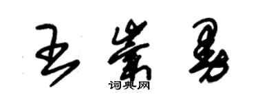 朱錫榮王崇曼草書個性簽名怎么寫