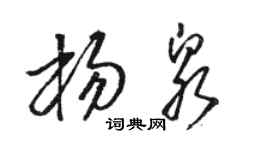 駱恆光楊泉草書個性簽名怎么寫