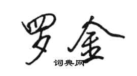 駱恆光羅金行書個性簽名怎么寫