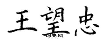 丁謙王望忠楷書個性簽名怎么寫
