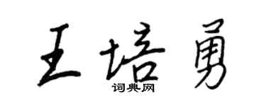 王正良王培勇行書個性簽名怎么寫