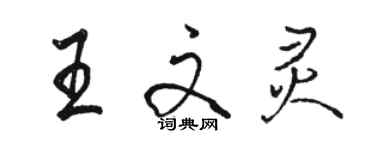 駱恆光王文靈行書個性簽名怎么寫