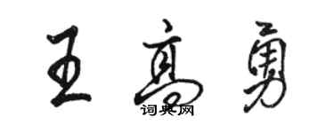 駱恆光王高勇行書個性簽名怎么寫