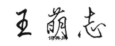 駱恆光王萌志行書個性簽名怎么寫