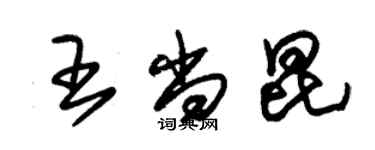 朱錫榮王尚昆草書個性簽名怎么寫