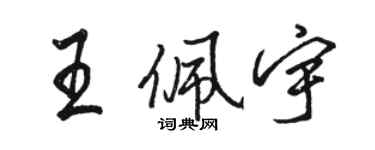 駱恆光王佩宇行書個性簽名怎么寫