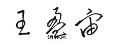 駱恆光王盈宙草書個性簽名怎么寫