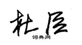 朱錫榮杜臣草書個性簽名怎么寫