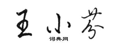 駱恆光王小芬行書個性簽名怎么寫
