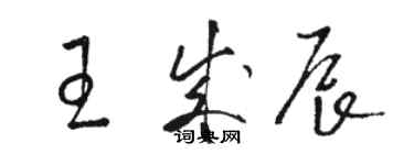 駱恆光王成辰草書個性簽名怎么寫