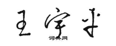 駱恆光王宇平草書個性簽名怎么寫