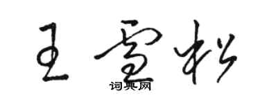 駱恆光王雪松草書個性簽名怎么寫