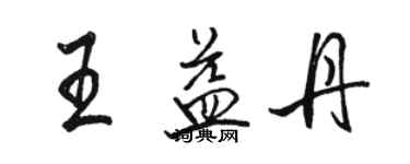 駱恆光王益丹行書個性簽名怎么寫