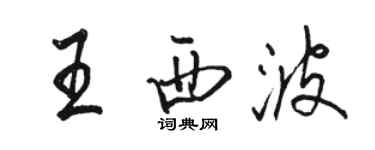 駱恆光王西波行書個性簽名怎么寫