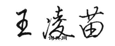 駱恆光王凌苗行書個性簽名怎么寫