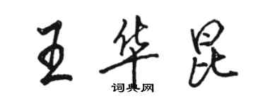 駱恆光王華昆行書個性簽名怎么寫