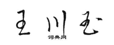 駱恆光王川玉草書個性簽名怎么寫
