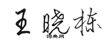 駱恆光王曉棟行書個性簽名怎么寫