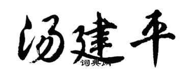 胡問遂湯建平行書個性簽名怎么寫