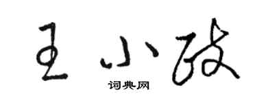 駱恆光王小政草書個性簽名怎么寫