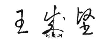 駱恆光王成堅草書個性簽名怎么寫