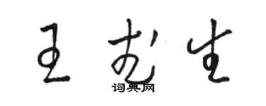 駱恆光王武生草書個性簽名怎么寫