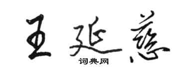 駱恆光王延慈行書個性簽名怎么寫