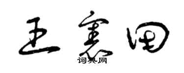 曾慶福王憲田草書個性簽名怎么寫