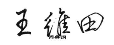 駱恆光王維田行書個性簽名怎么寫