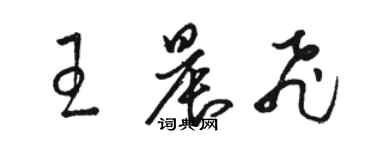 駱恆光王晨飛草書個性簽名怎么寫