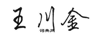 駱恆光王川金行書個性簽名怎么寫