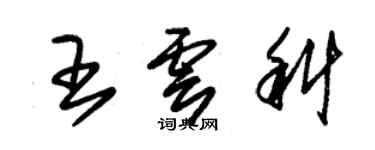 朱錫榮王雲科草書個性簽名怎么寫