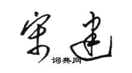 駱恆光宋建草書個性簽名怎么寫