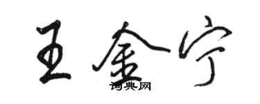 駱恆光王金寧行書個性簽名怎么寫