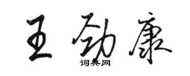 駱恆光王勁康行書個性簽名怎么寫