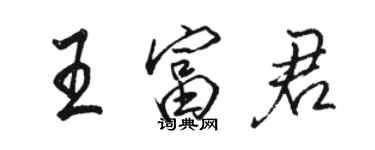 駱恆光王富君行書個性簽名怎么寫