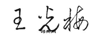 駱恆光王光梅草書個性簽名怎么寫