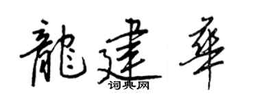 王正良龍建華行書個性簽名怎么寫