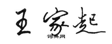 駱恆光王家起行書個性簽名怎么寫